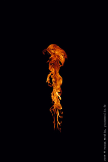 Yoann Moulin - Galerie feu - 01 Flamabella.jpg