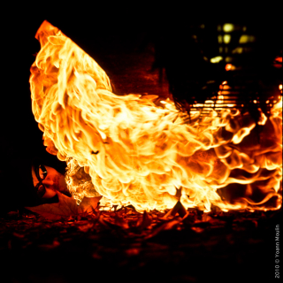 Yoann Moulin - Galerie feu - 05 Close.jpg