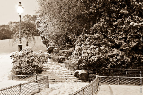 Yoann Moulin - Galerie paysage - Buttes Chaumont.jpg